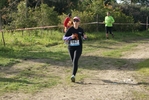 cir_249.jpg