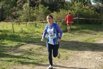 cir_252.jpg