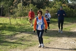 cir_257.jpg