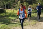 cir_258.jpg