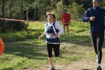 cir_260.jpg