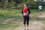 cir_262.jpg