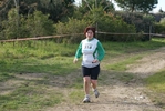 cir_263.jpg