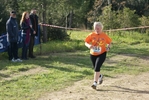cir_265.jpg