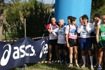 cir_325.jpg