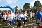 cir_336.jpg