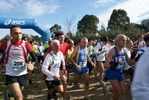 cir_337.jpg