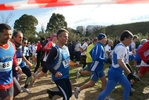 cir_339.jpg