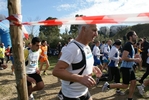 cir_341.jpg
