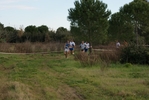 cir_344.jpg