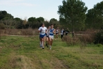 cir_345.jpg