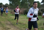 cir_396.jpg
