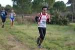 cir_397.jpg