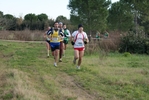 cir_409.jpg