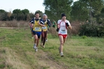 cir_410.jpg