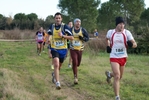 cir_411.jpg