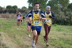 cir_412.jpg