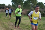cir_444.jpg