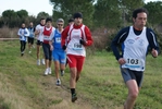 cir_538.jpg