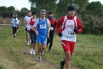 cir_539.jpg