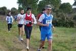 cir_540.jpg