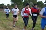 cir_541.jpg