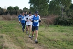 cir_547.jpg
