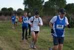 cir_549.jpg