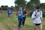 cir_550.jpg