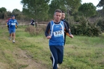 cir_551.jpg