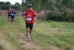 cir_556.jpg