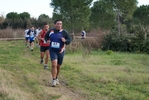 cir_557.jpg