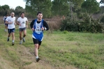 cir_560.jpg