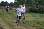 cir_561.jpg