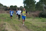 cir_592.jpg