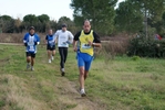 cir_593.jpg
