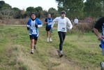 cir_595.jpg