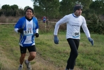 cir_597.jpg