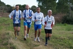 cir_609.jpg
