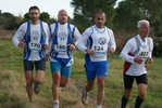 cir_610.jpg