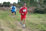 cir_620.jpg
