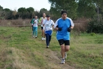 cir_622.jpg