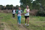 cir_624.jpg