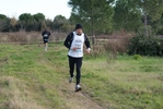 cir_626.jpg