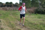 cir_631.jpg