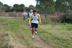 cir_639.jpg