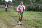 cir_644.jpg