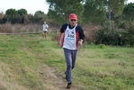 cir_646.jpg