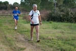 cir_648.jpg