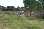 cir_658.jpg